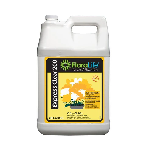 EXPRESS CLEAR 200, 2.5 GAL W/PUMP