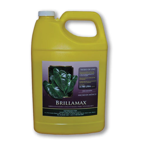 BRILLA MAX© UN GALON FLORALIFE